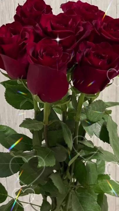 Corporate meeting room with carefully timed floral arrangements that maintain elegance throughout business hours